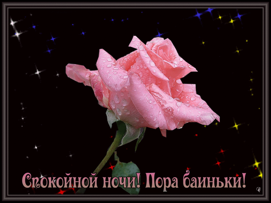 Смс пожелания любимой девушке изображения Смс пожелания любимой девушке изоражения