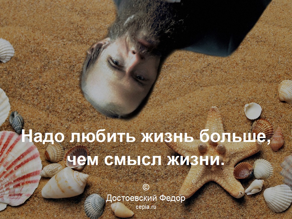 Надо любить жизнь больше, чем смысл жизни. © Достоевский Федор