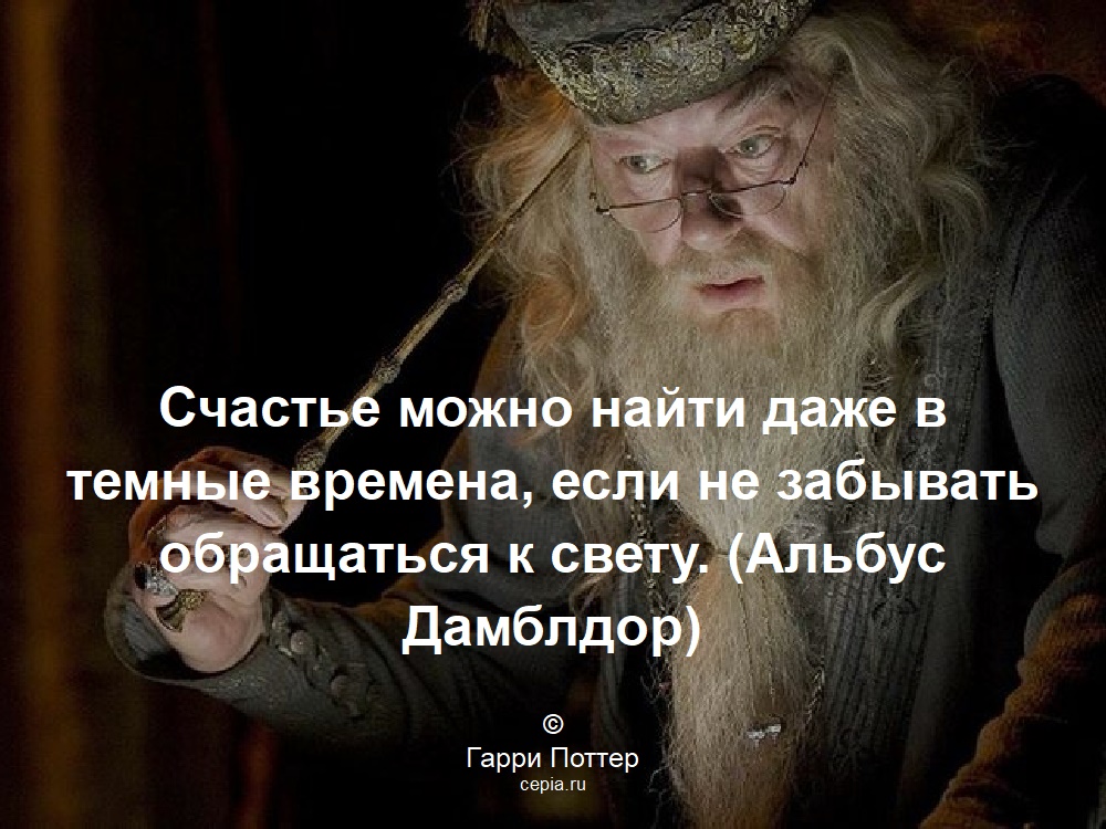 Счастье можно найти даже в темные времена, если не забывать обращаться к свету. (Альбус Дамблдор) © Гарри Поттер