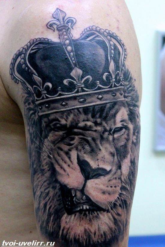 Тату оскала льва с короной на плечо для мужчины