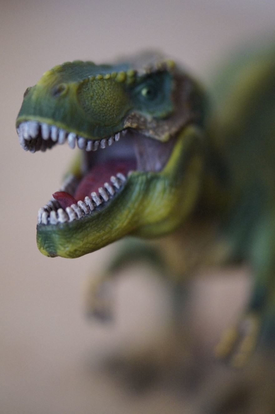 Фото фигур динозавров онлайн