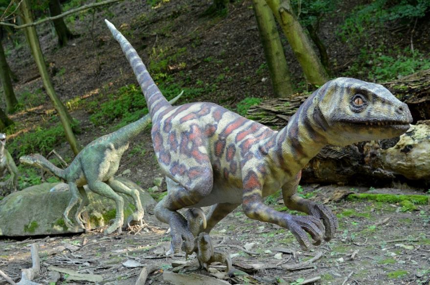 Динозавры фото в хорошем качестве