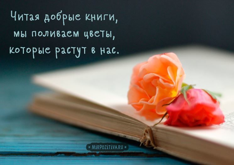 Красивая цитата про книги и цветы