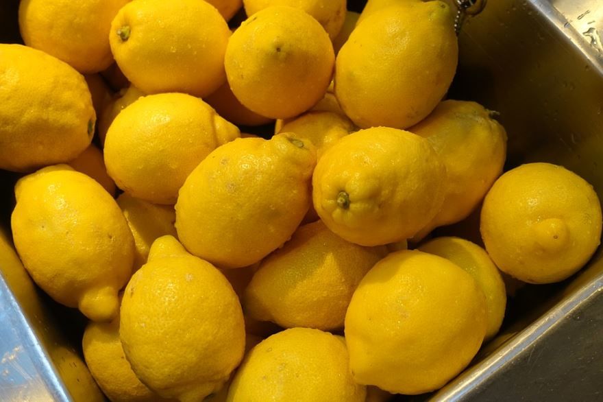Фото лимонов, выращенных в домашних условиях бесплатно