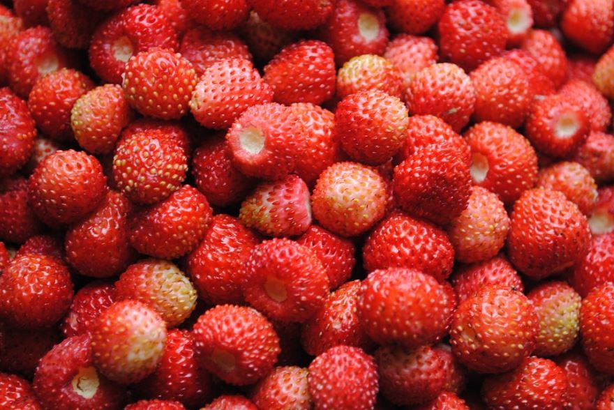 Фото садовой ягоды – земляники бесплатно