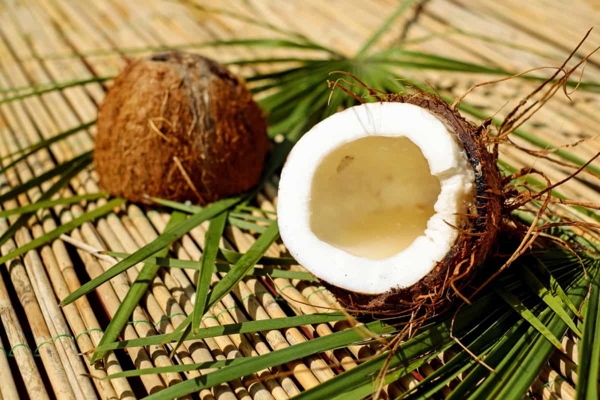 Фото открытого, расколотого кокоса 