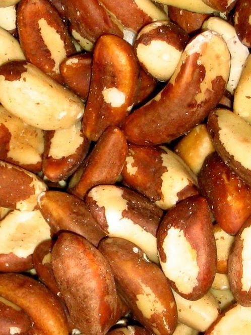Купить фото бразильского ореха, обладающего полезными свойствами? Скачайте бесплатно