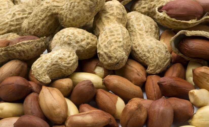 Фото калорийного домашнего ореха – арахиса, несущего пользу организму