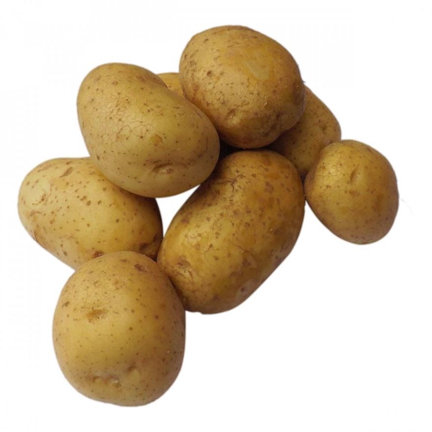 Купить фото растения картофель? Скачайте бесплатно