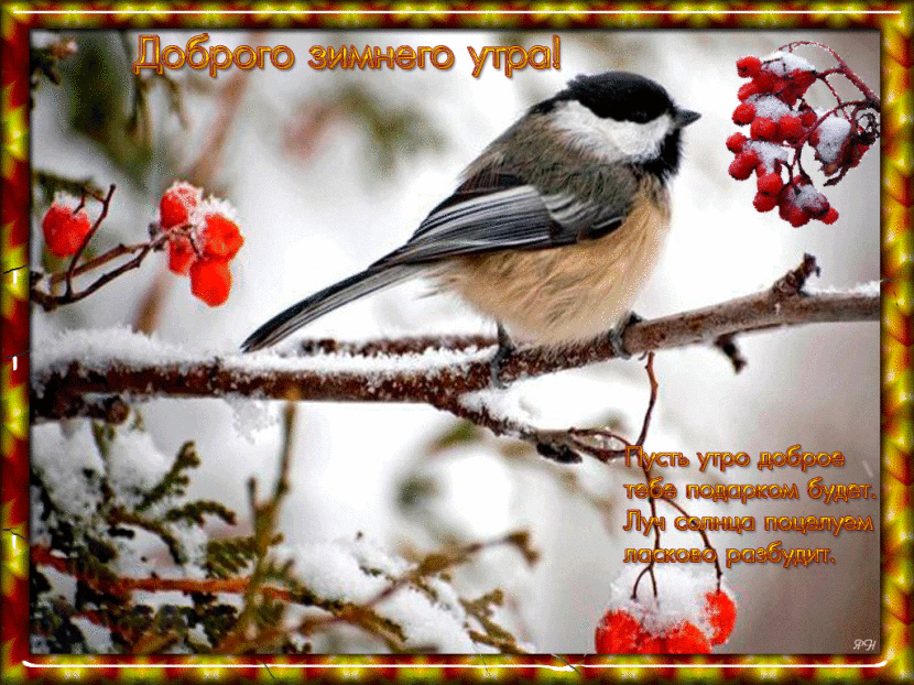 Скачать бесплатно открытку доброго зимнего утра и хорошего дня