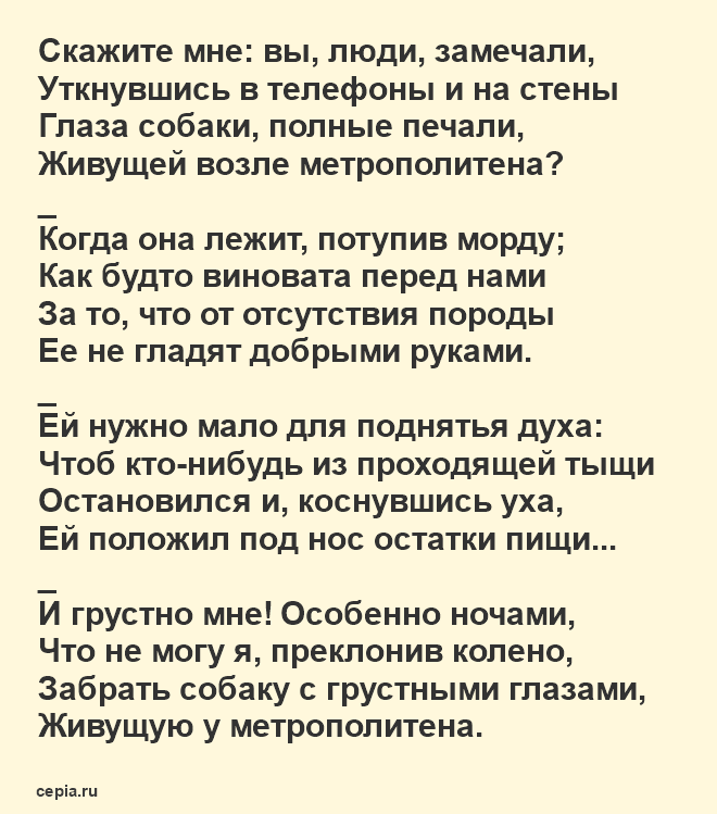 Лучшие стихи Астаховой - Собака