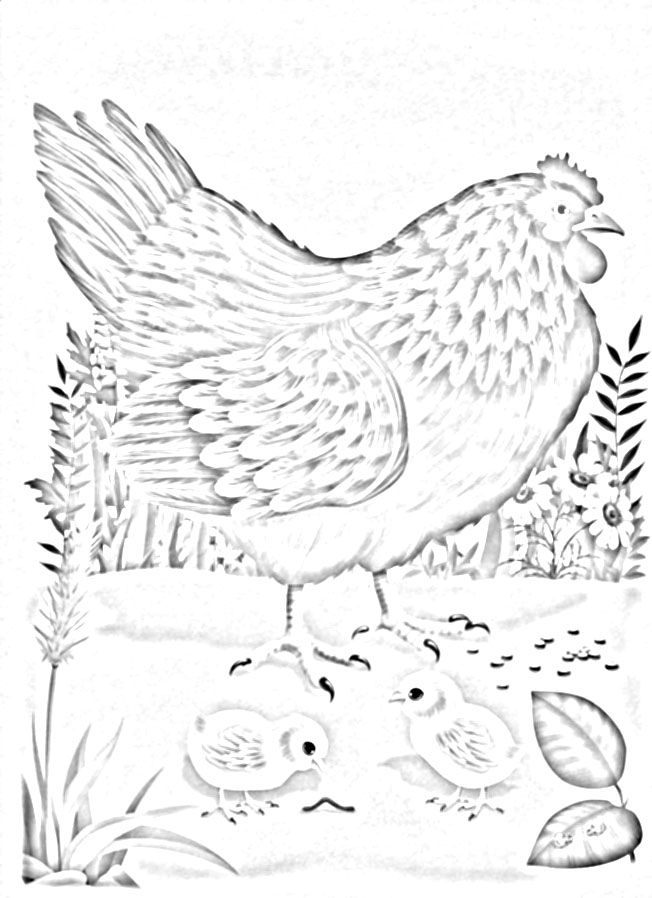 Раскраска курица с цыплятами на прогулке