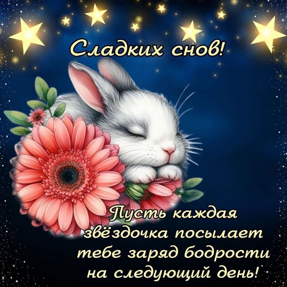 😃 Спокойной ночи - 379 новых картинок и открыток с красивыми пожеланиями