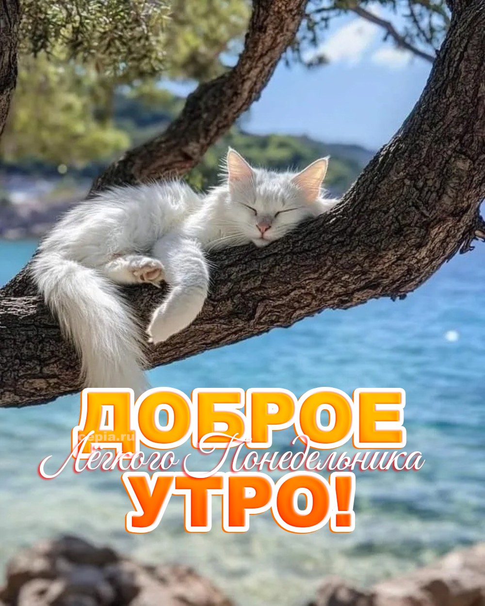 😀