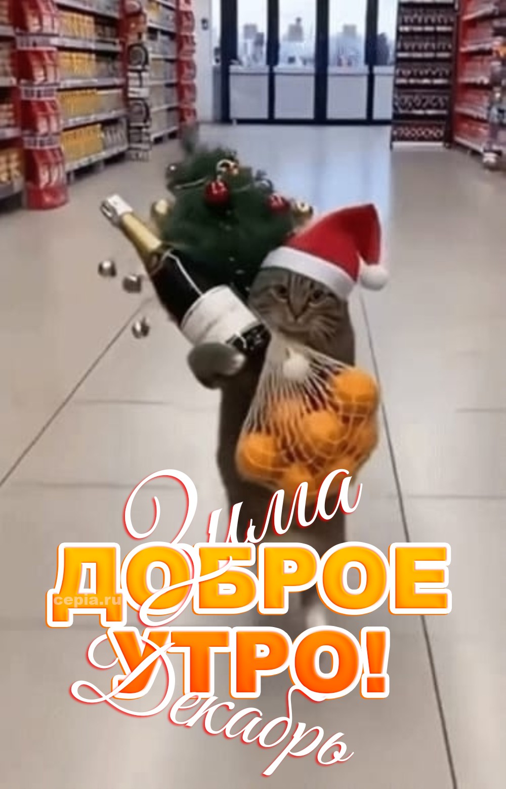 🎉