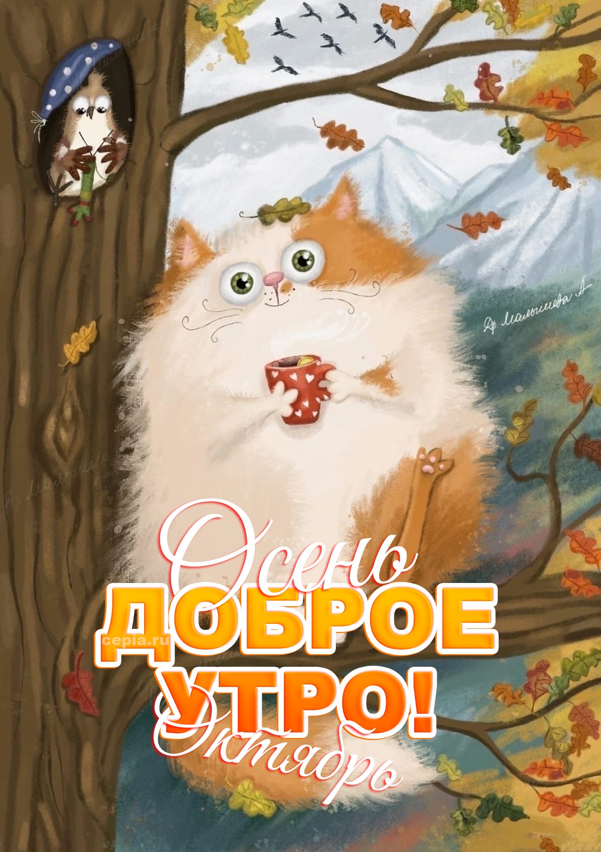 🎉