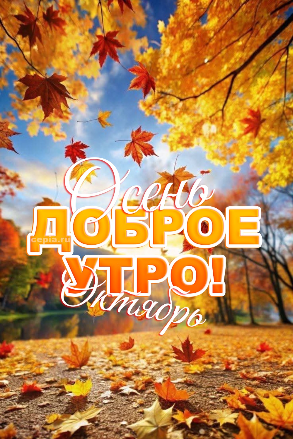 🎉