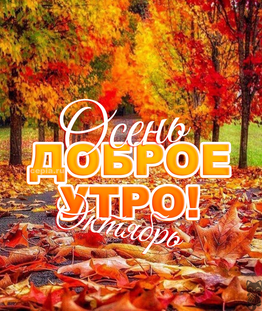 😀 Октябрьское утро пусть подарит уверенность, вдохновение и много радости на весь день