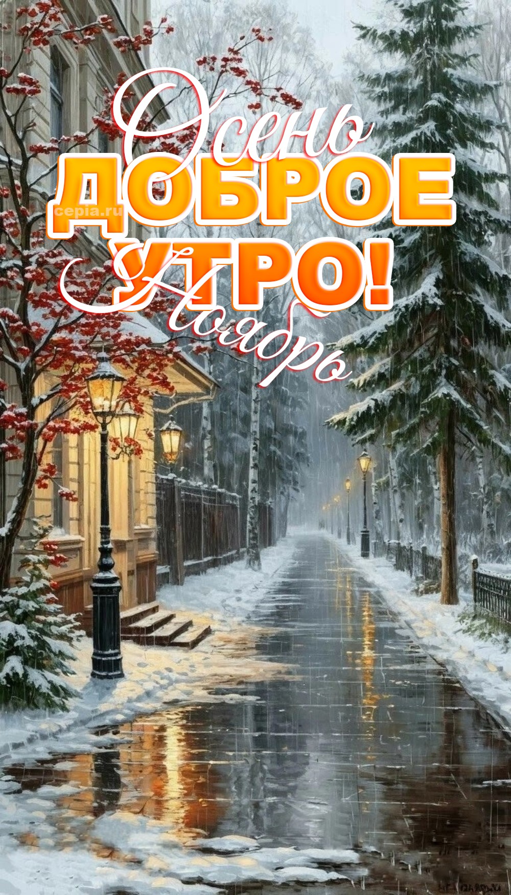🎉