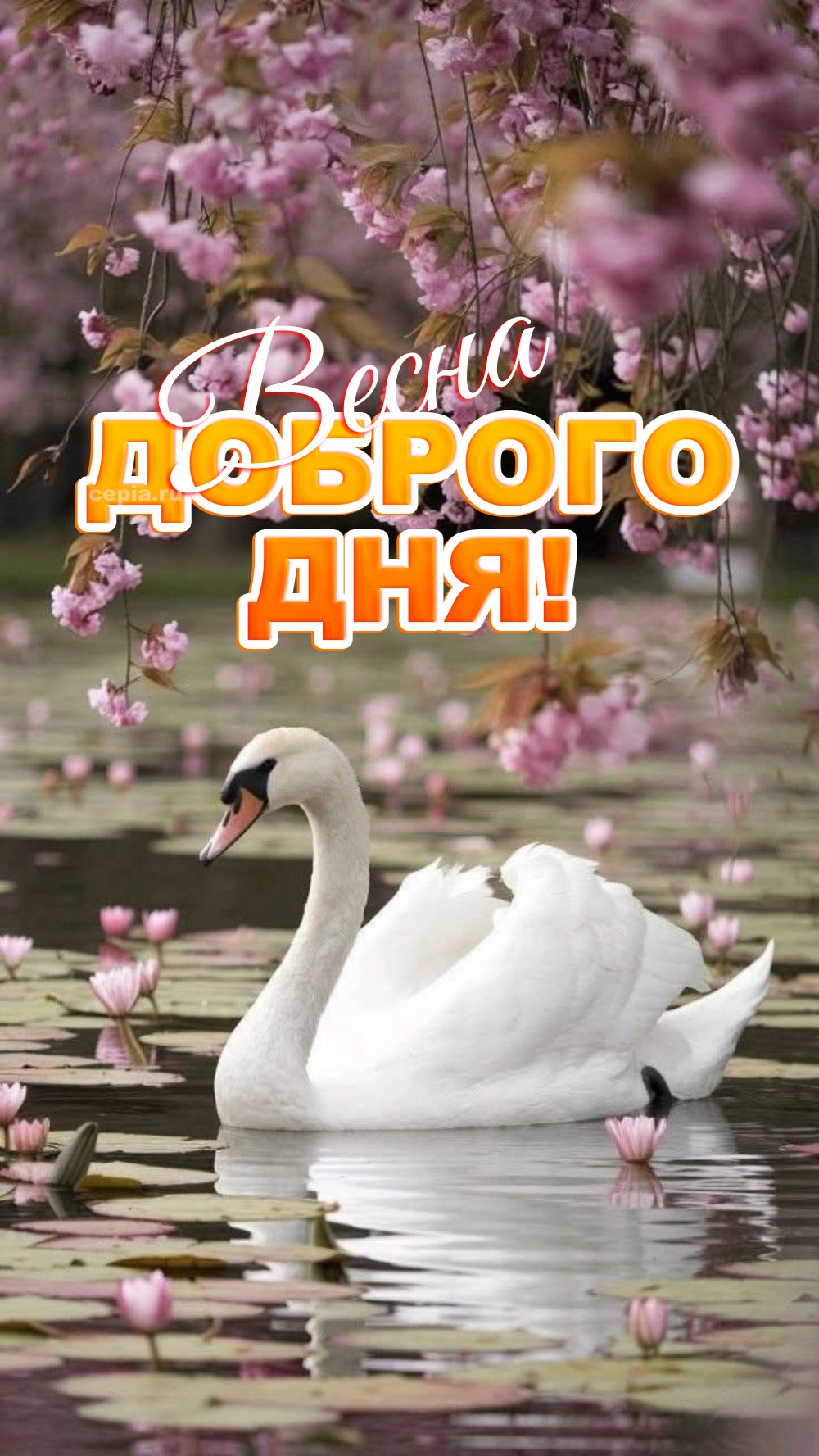 😀