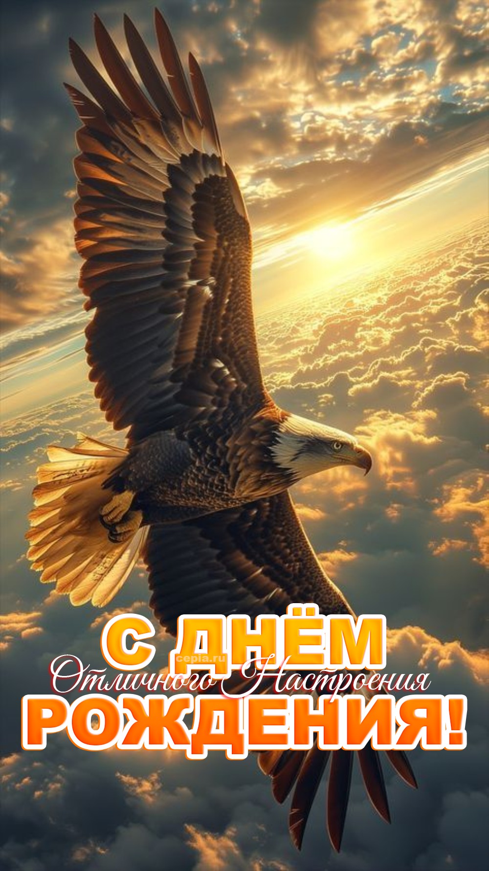 🎉 Желаю тебе уверенности в себе, побед во всём и нескончаемой энергии! С днём рождения! Пусть твоя жизнь будет как Wi-Fi — всегда на максимальной скорости и без перебоев! С тортами и сладостями