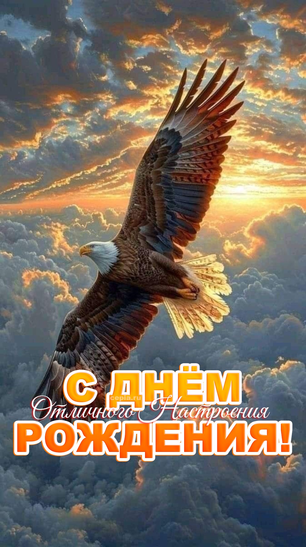 😍 Пусть твоя жизнь будет похожа на увлекательное путешествие! Желаю смелости, которая приведёт к успеху