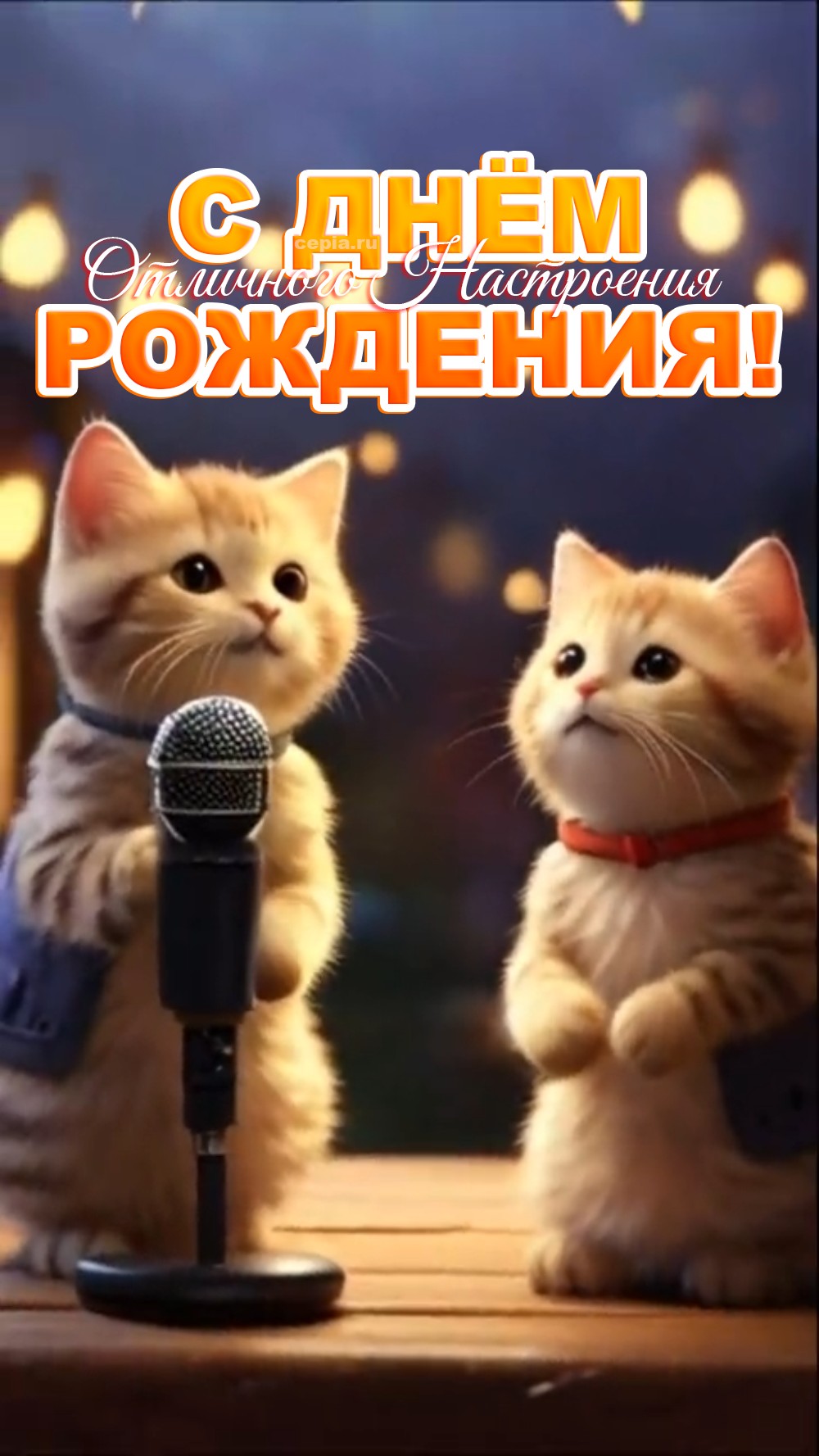 🎉