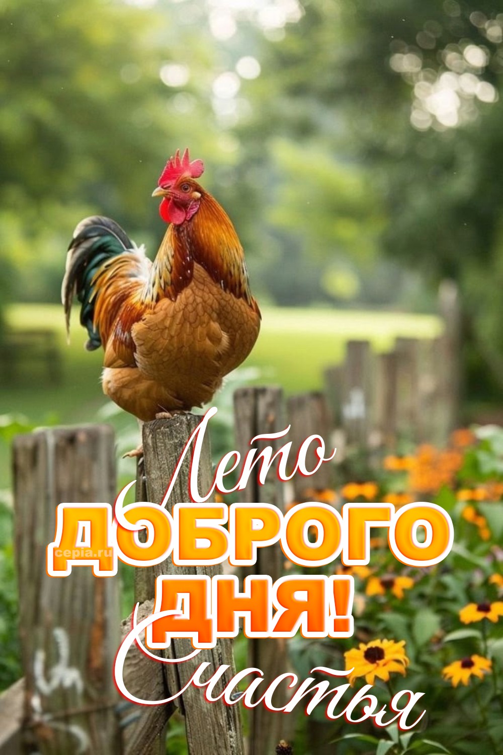 😀