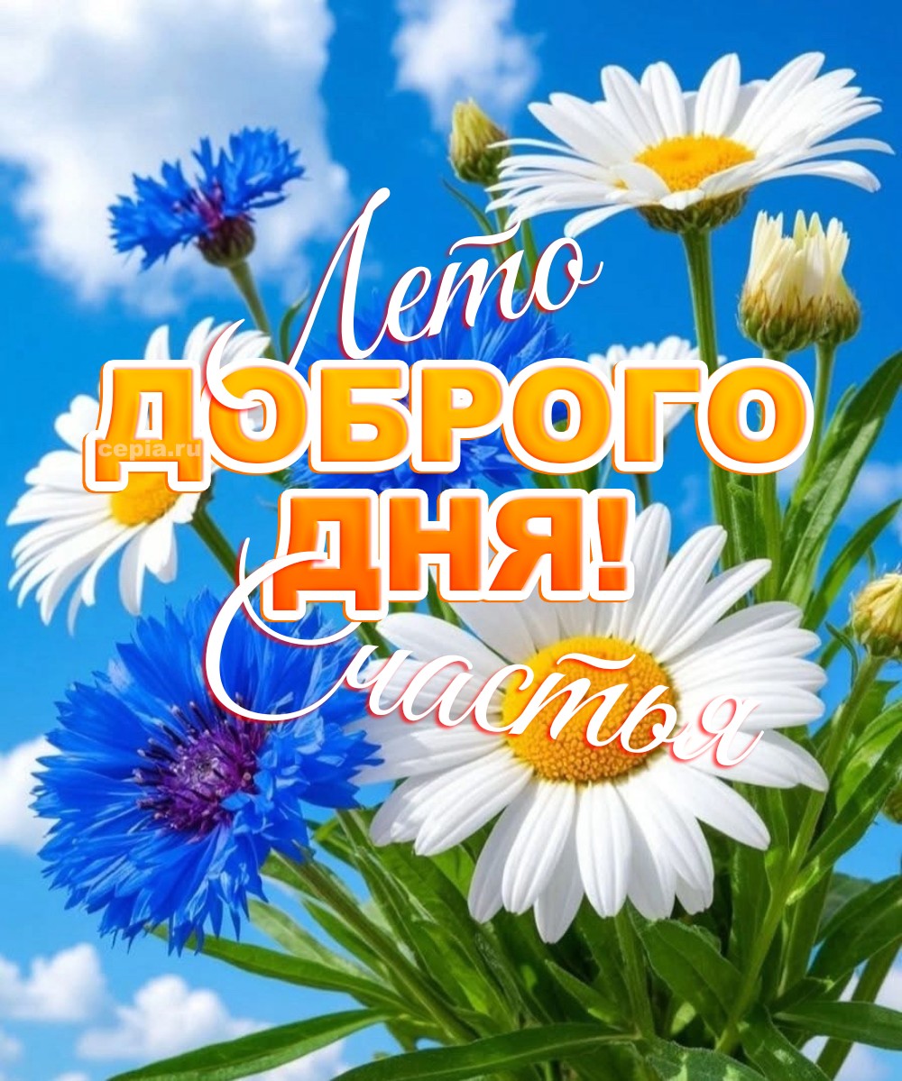 🎉