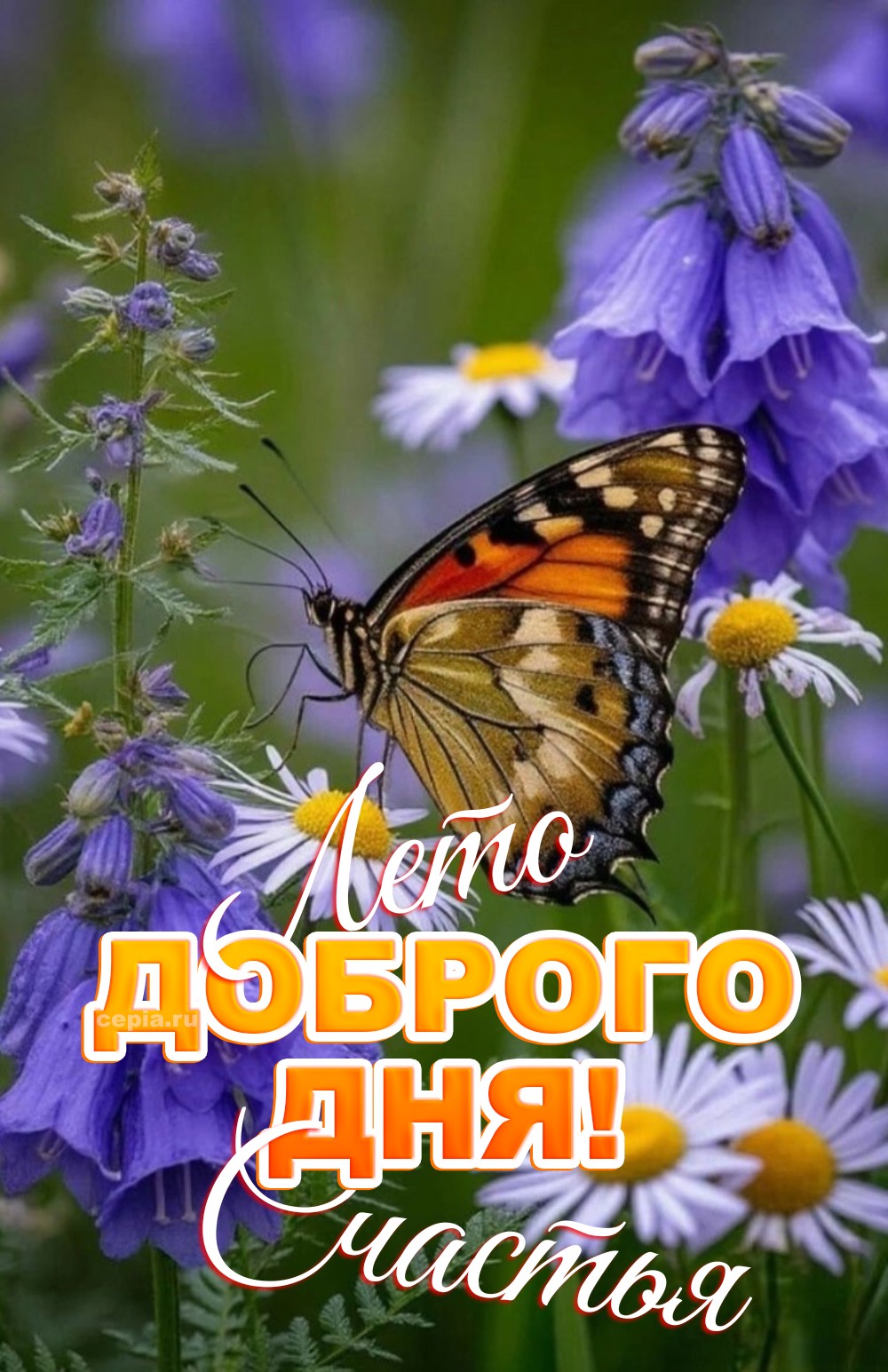 😊