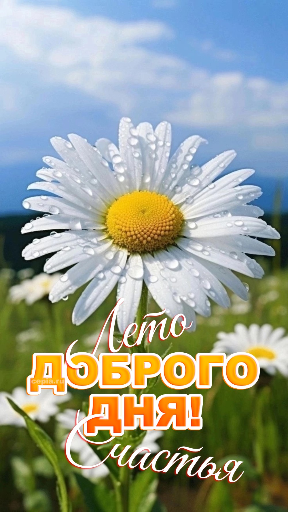 😀