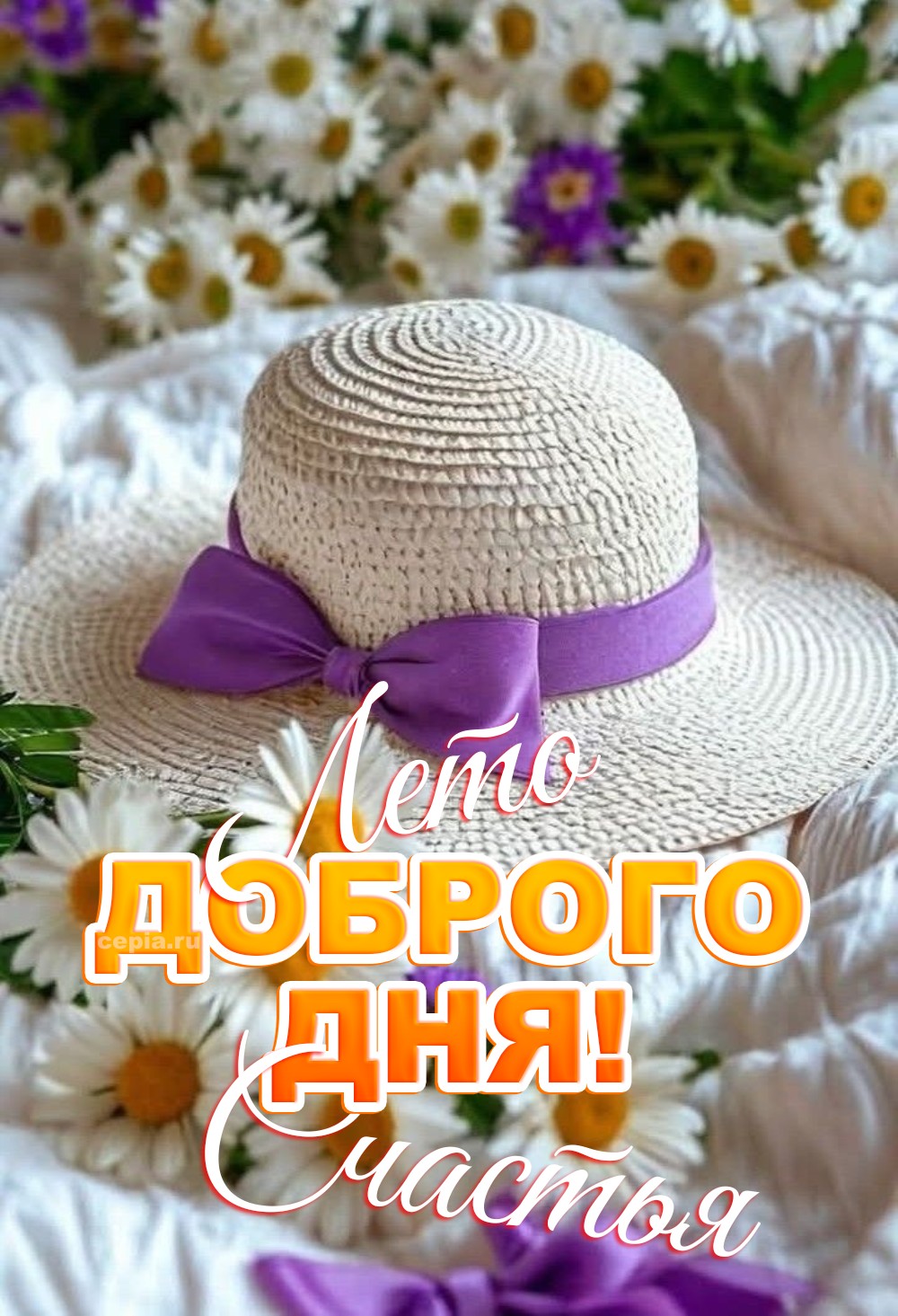 🎉
