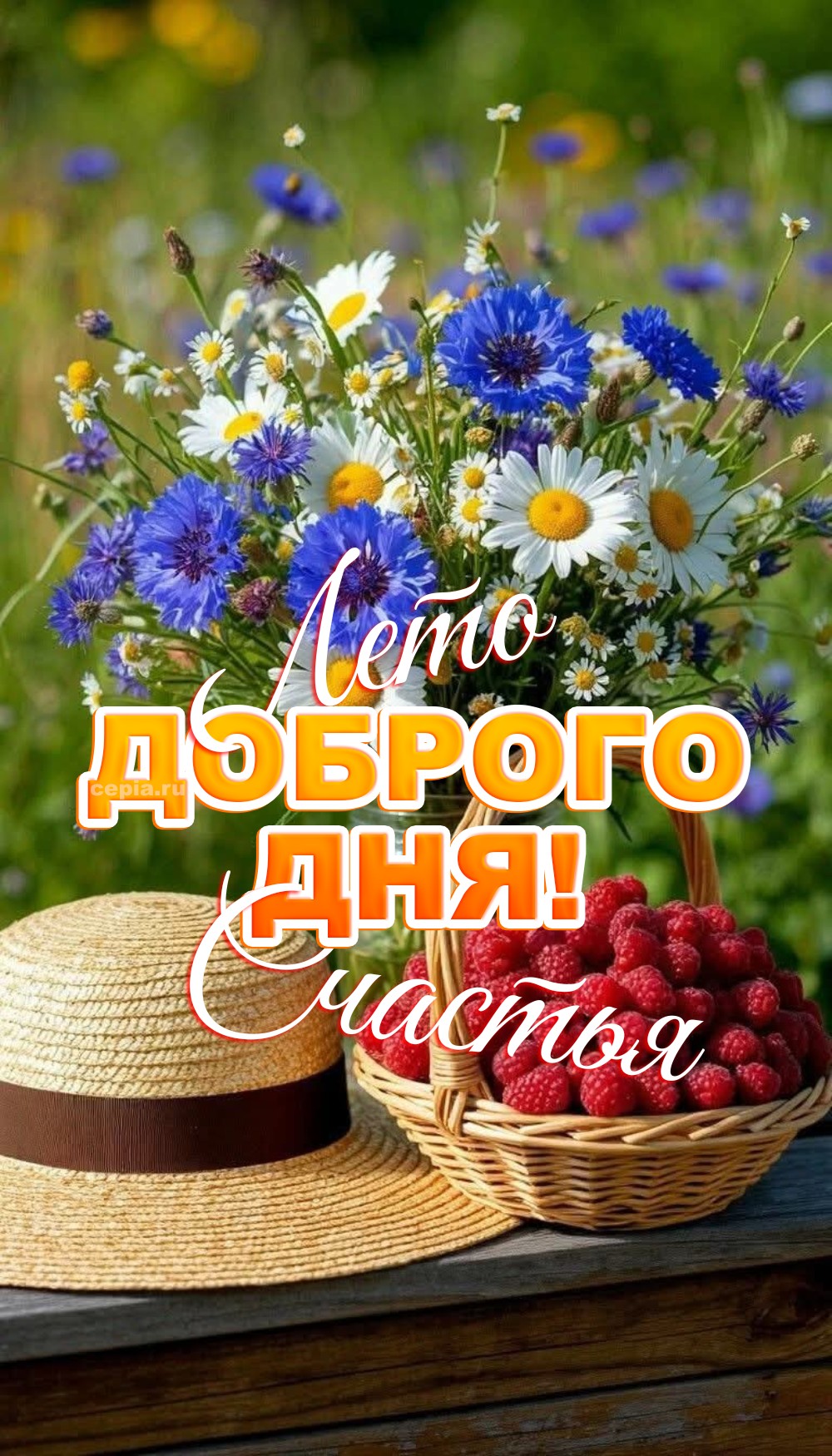 🎉