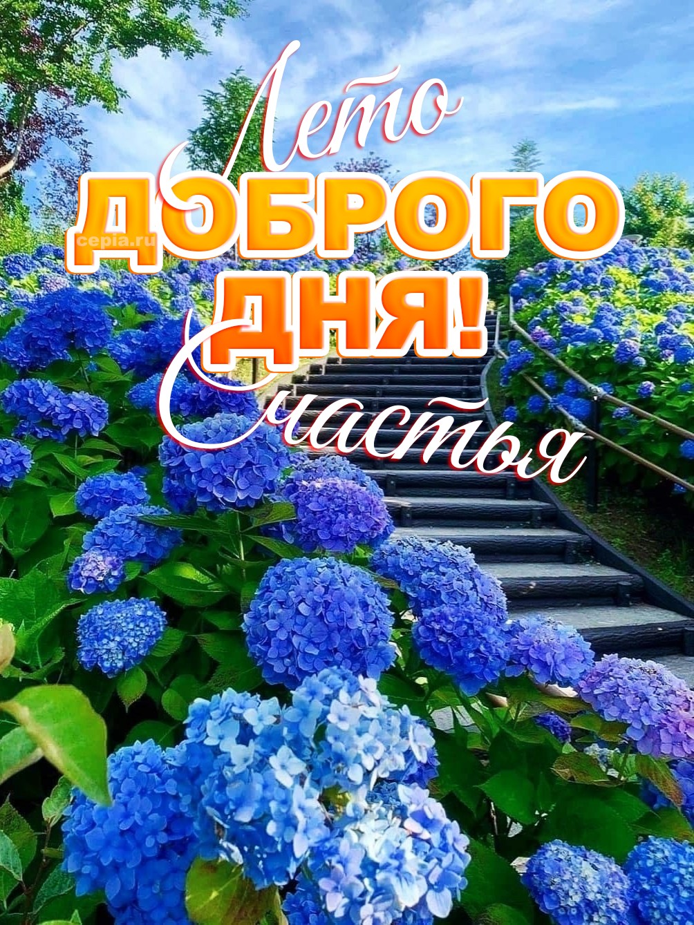 🎉