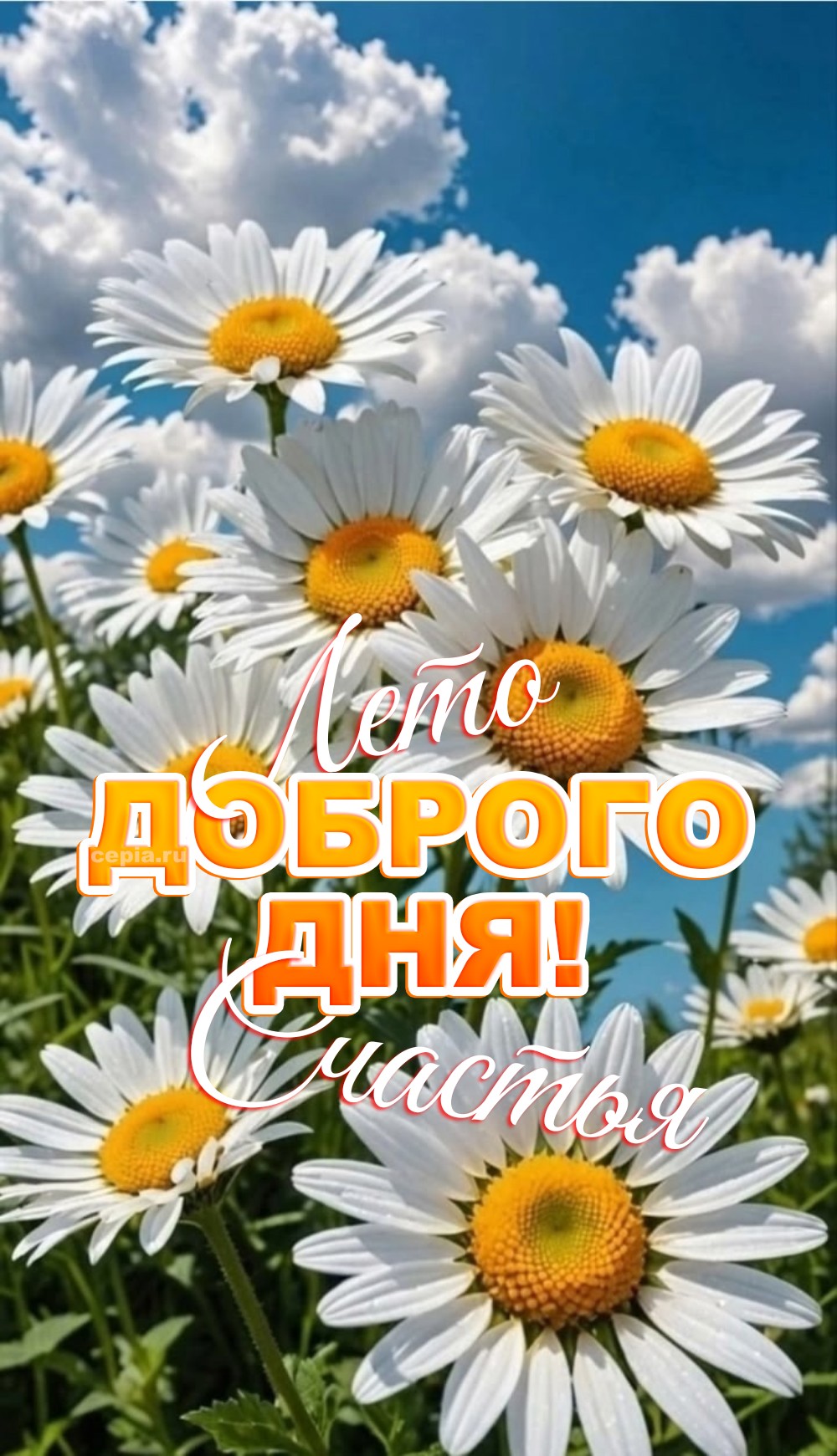 🎉