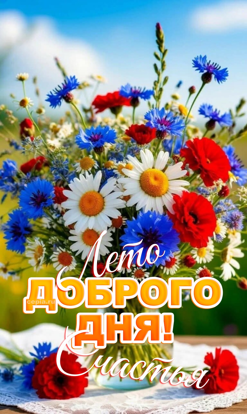 🎉