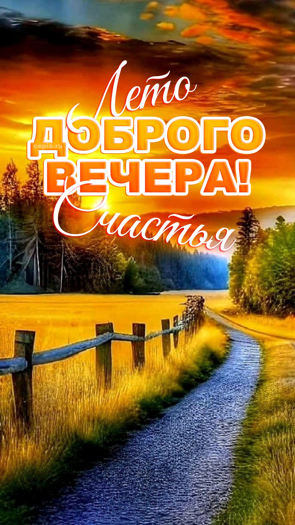 🎉