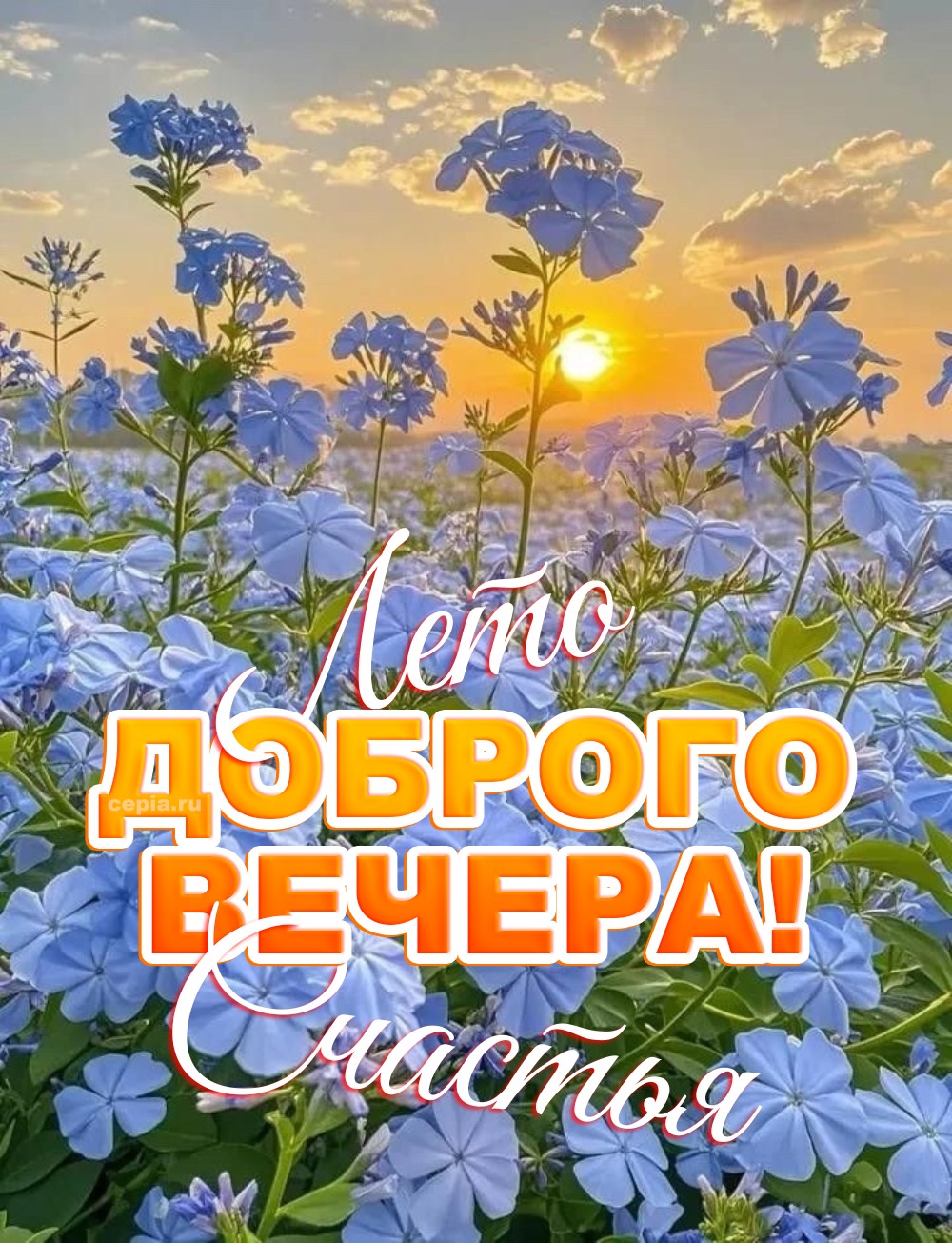 🎉