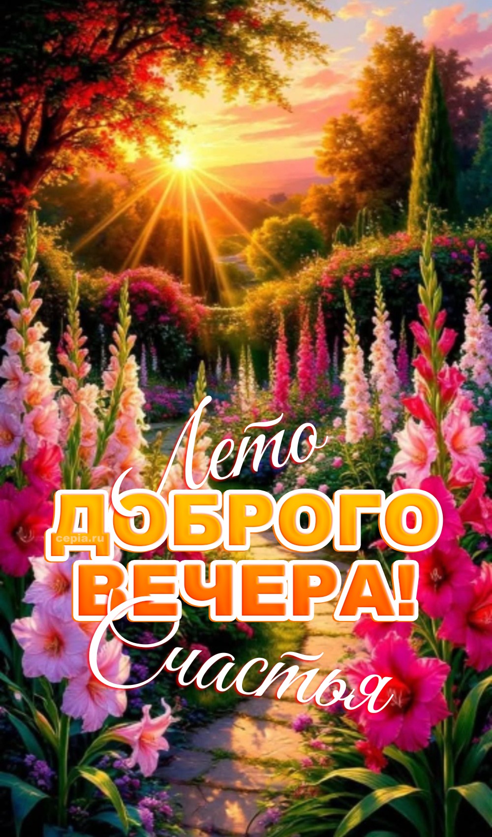 🎉