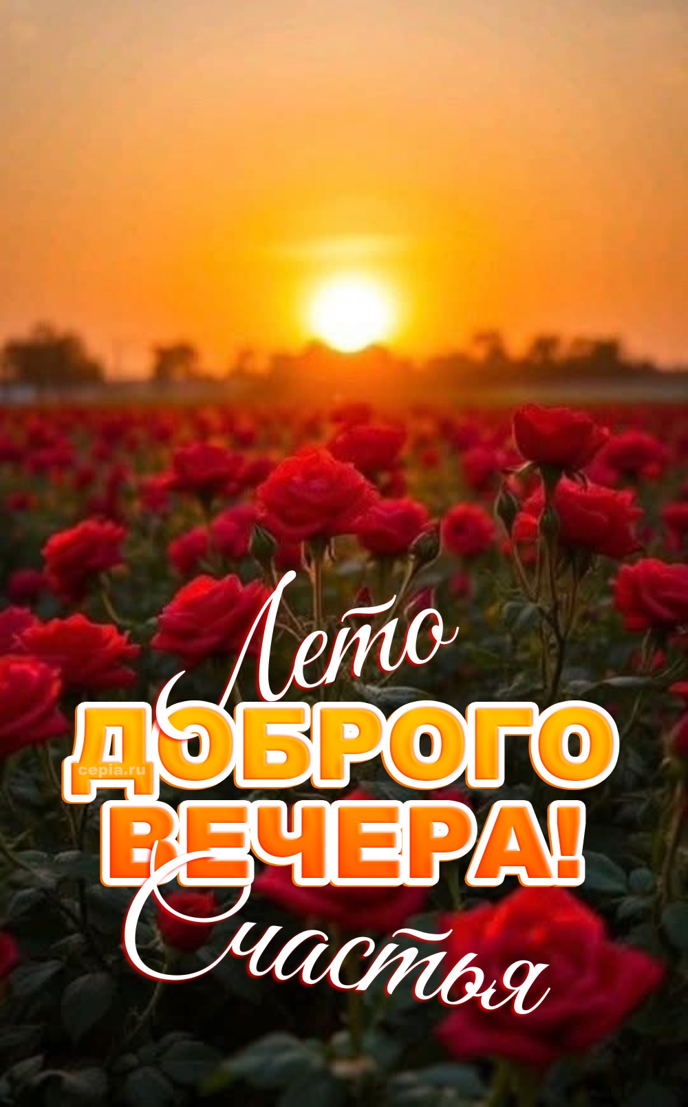 😊