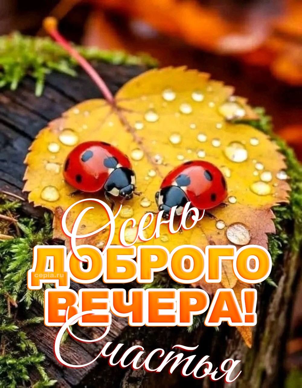 😊