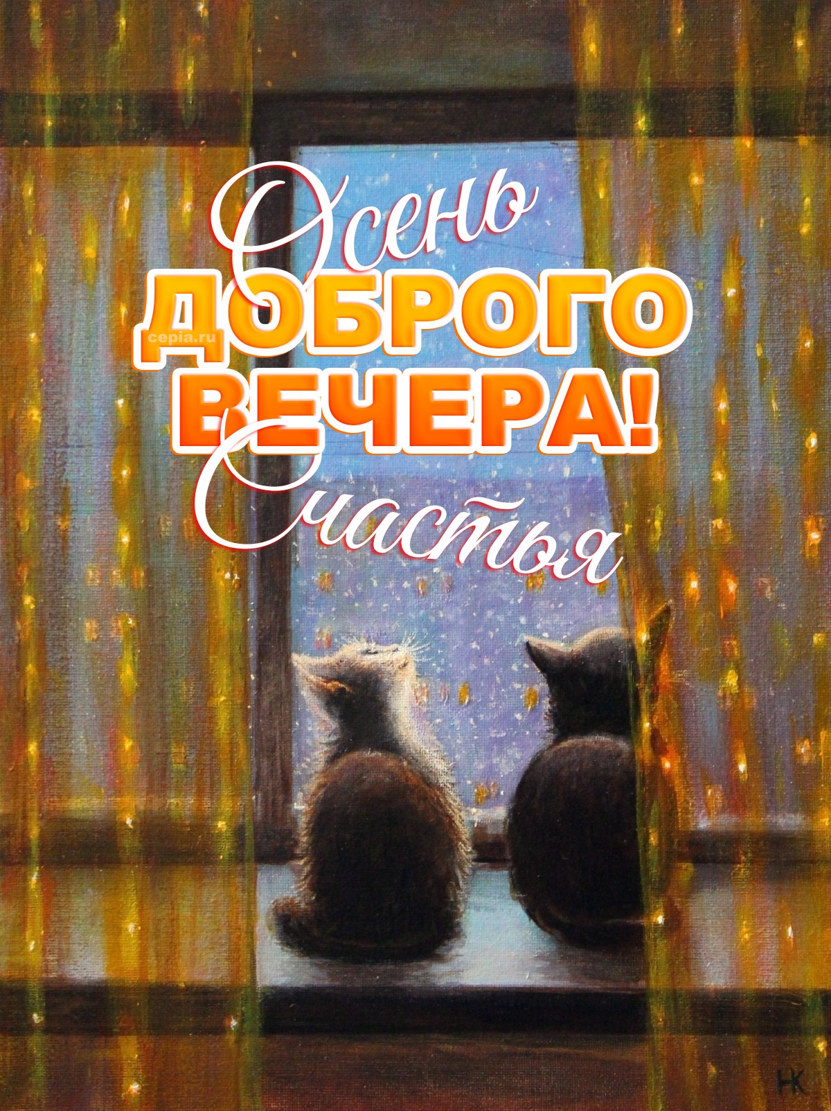 🎉