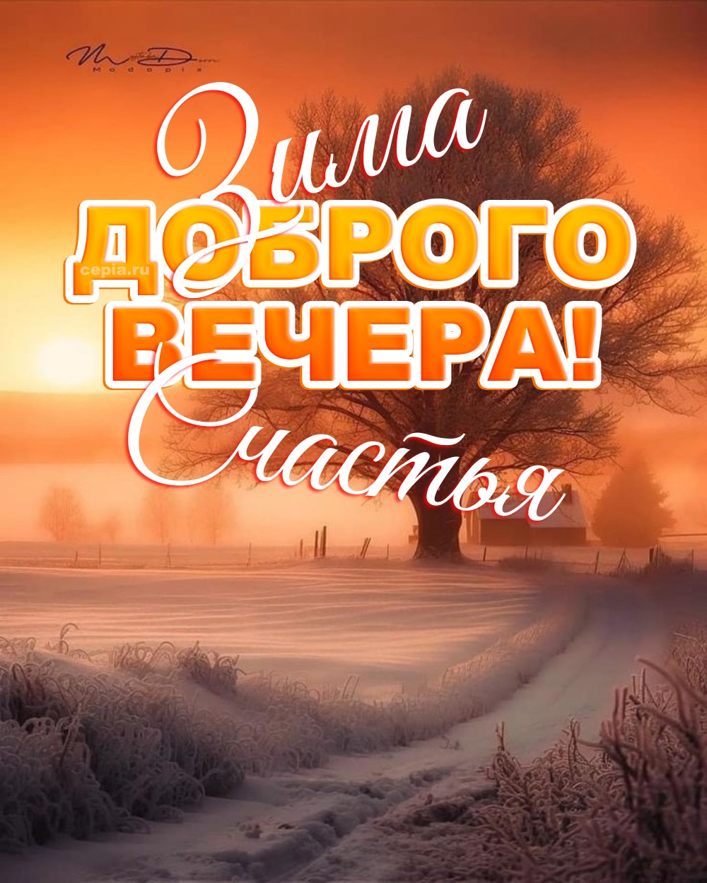 😊 Желаю тебе уютного зимнего вечера в окружении любимых людей, теплых слов и радостных улыбок
