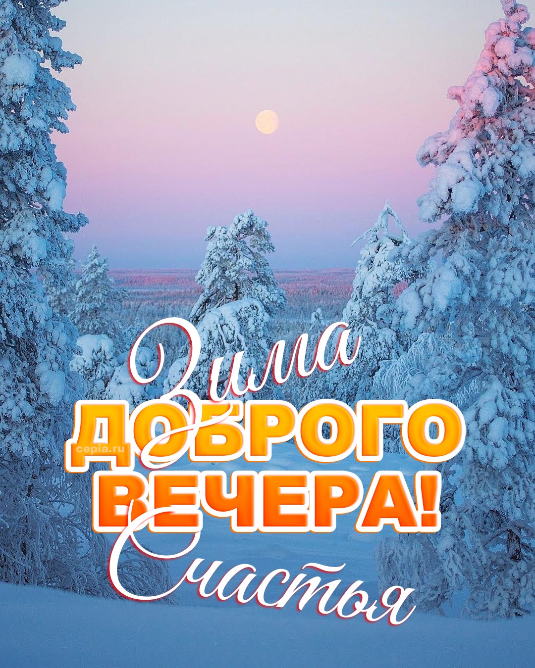 😊 Желаю тебе тихого зимнего вечера, наполненного светом свечей, ароматом хвои и теплом искренних чувств