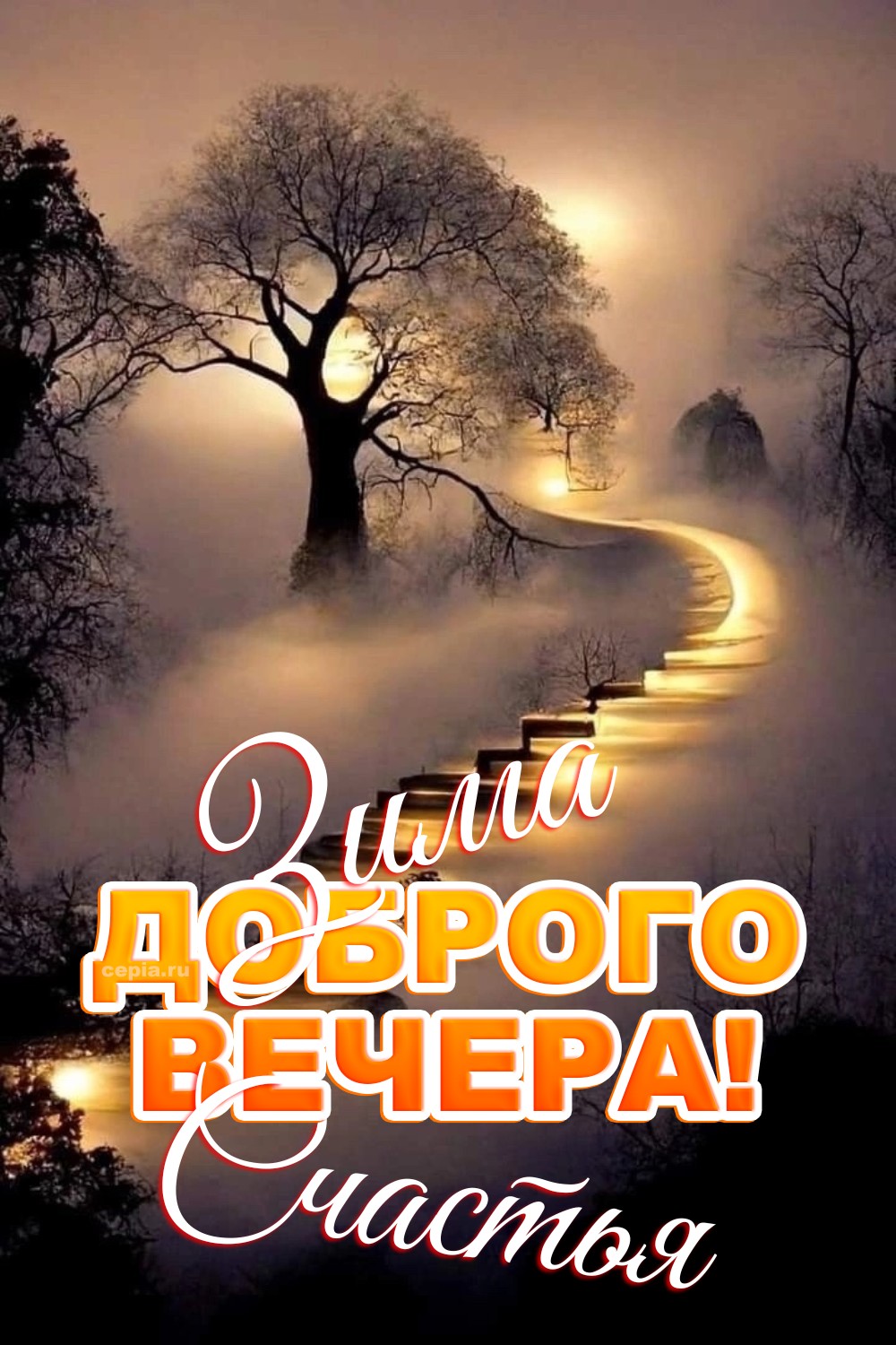 😍 Пусть зимний вечер будет наполнен светом и теплом, согревая сердце и даря вдохновение на новый день