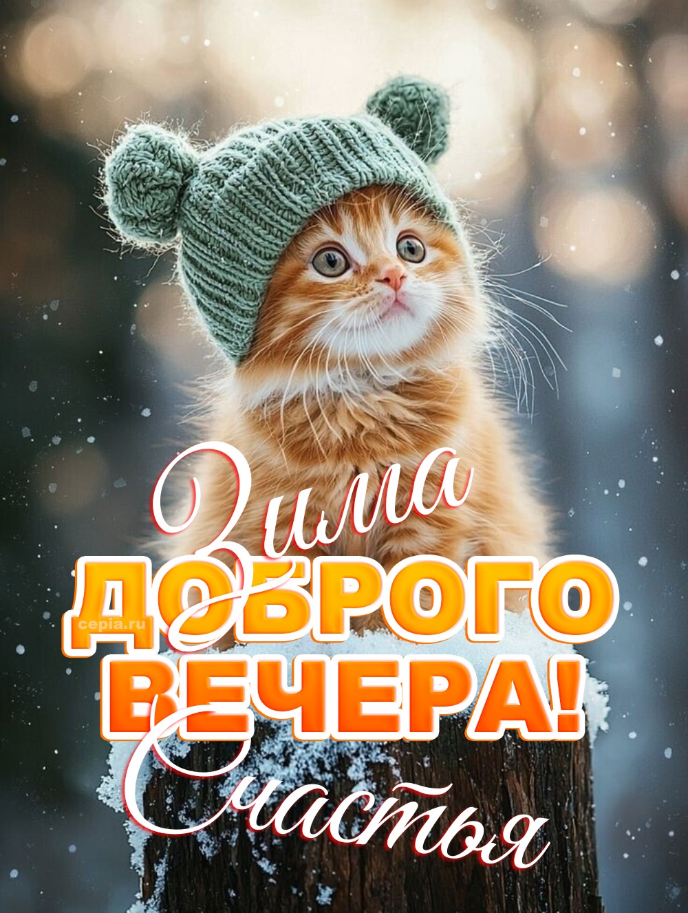 🎉