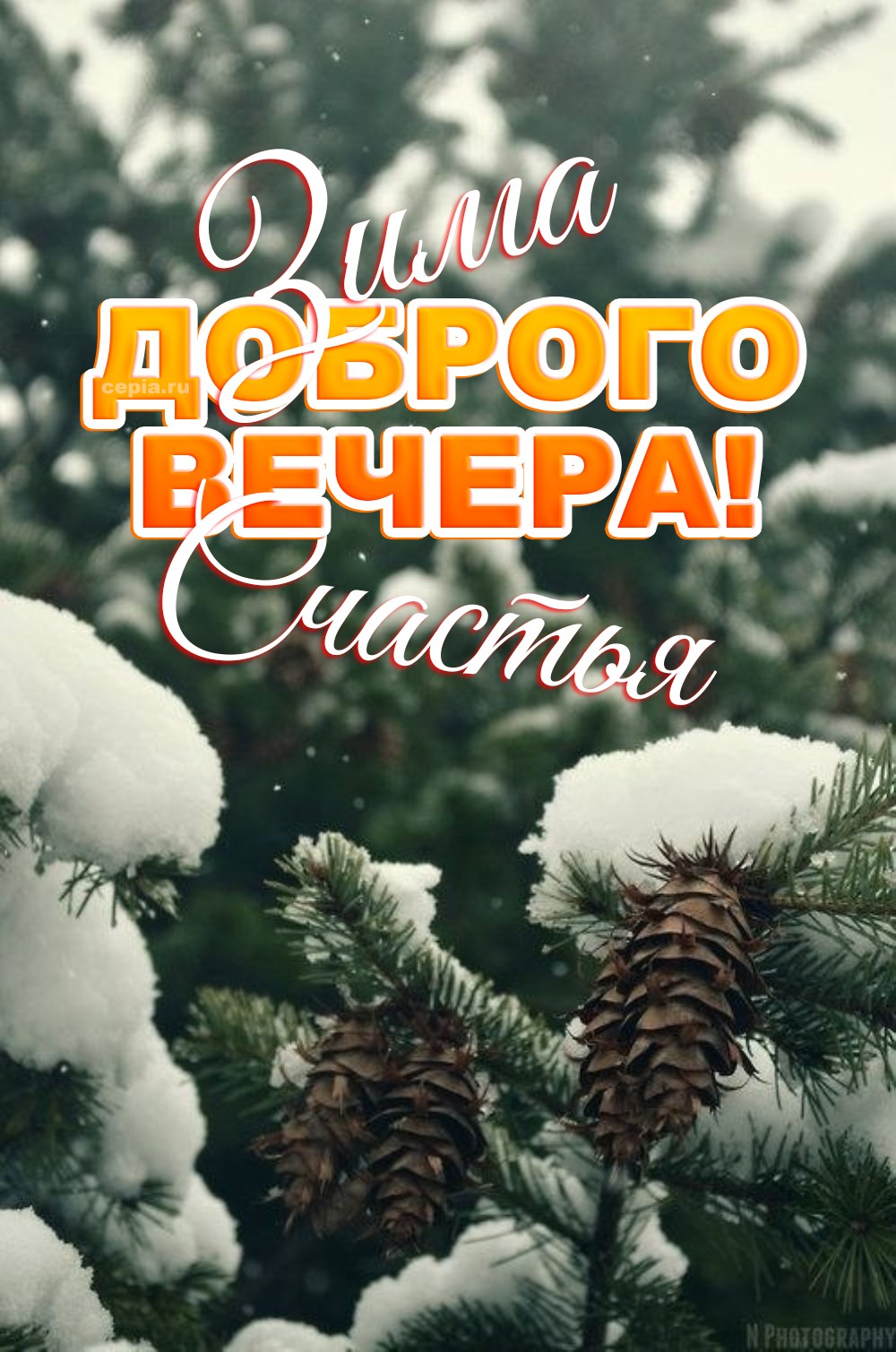 🤩 Желаю тебе вечера, полного душевного спокойствия и тишины, которые так ценны в суете будней