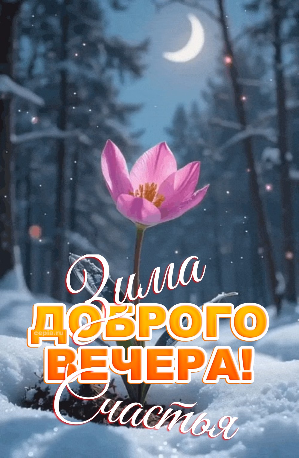 🎉 Желаю, чтобы каждый снегопад в этот вечер принес с собой покой и светлую надежду