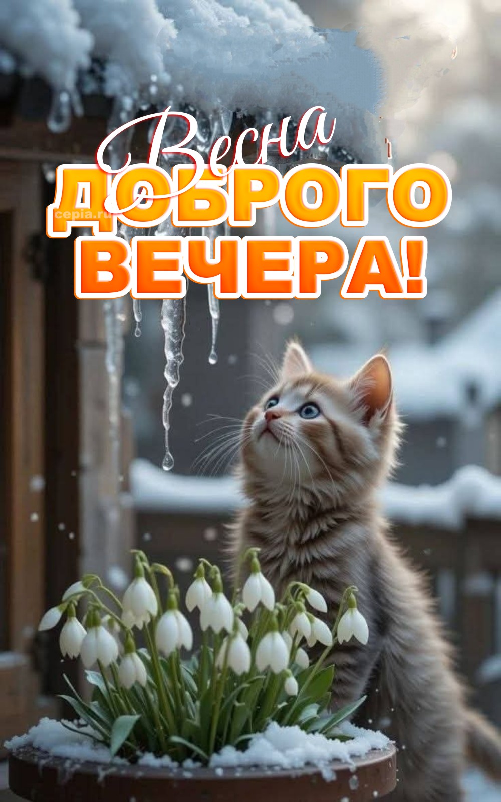 😊 Желаю, чтобы каждый цветок, раскрывающийся в этот вечер, стал символом новой надежды и счастья