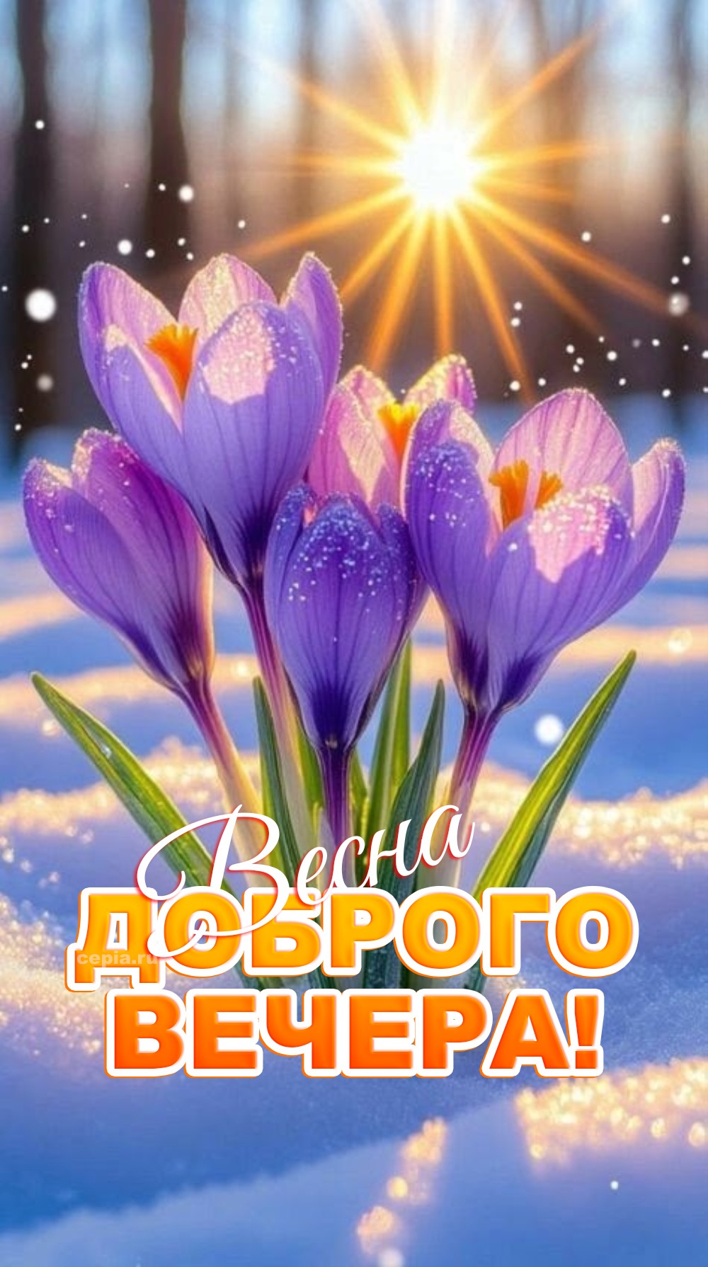 😍 Пусть каждый луч заходящего солнца подарит надежду и уверенность в завтрашнем дне